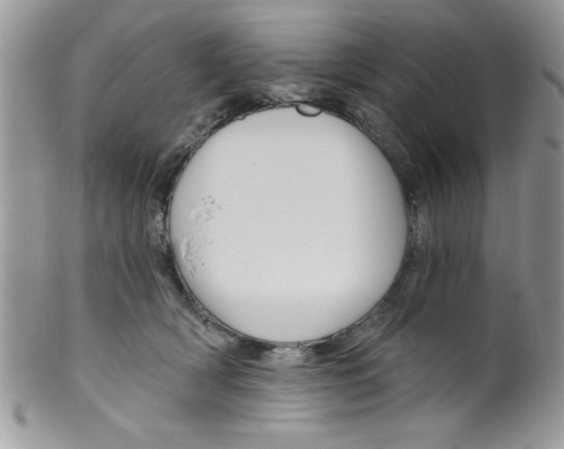 X0000098130418200805151120