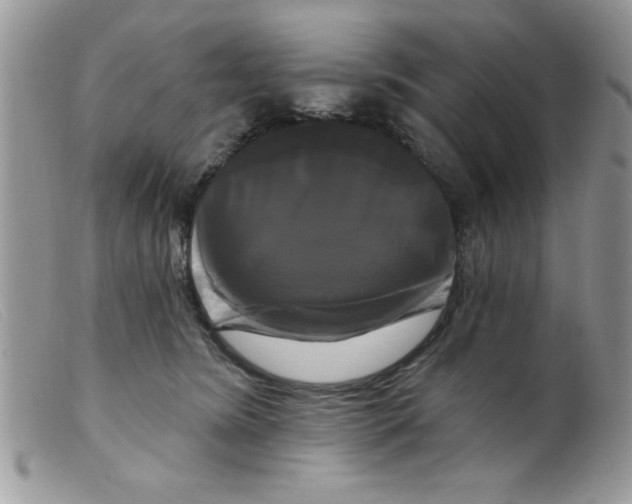 X0000098130420200805151120