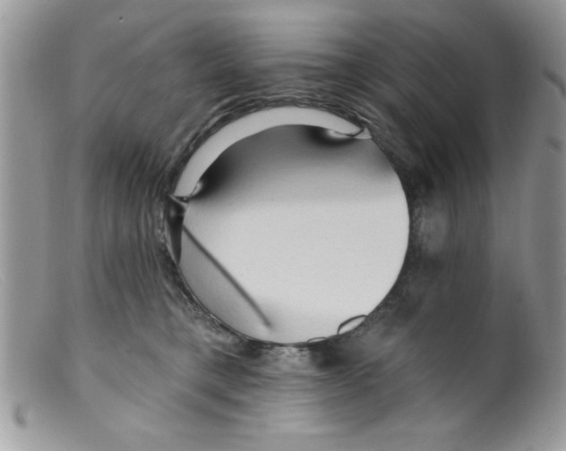 X0000098130421200805151120