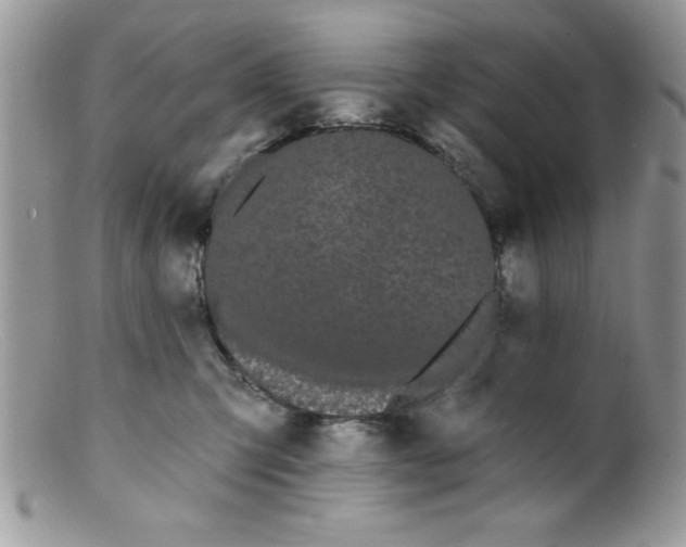 X0000098130423200805151120