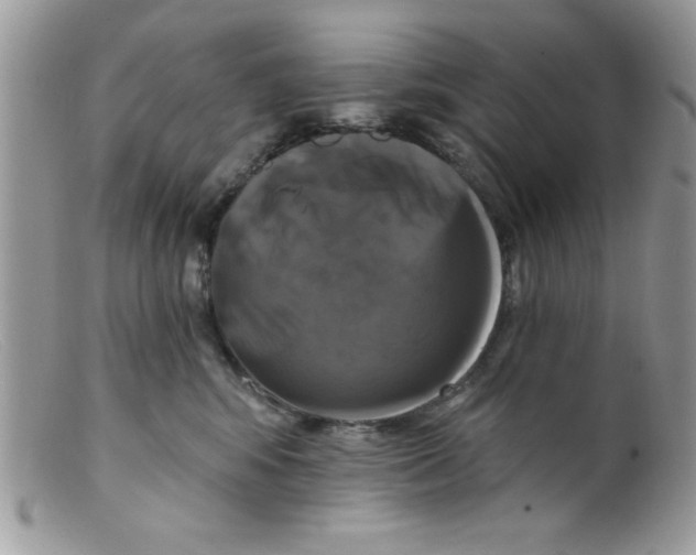 X0000098130424200805151120