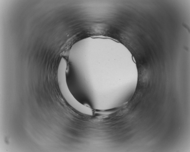 X0000098130425200805151120