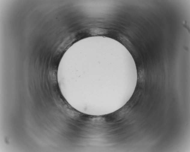 X0000098130426200805151120
