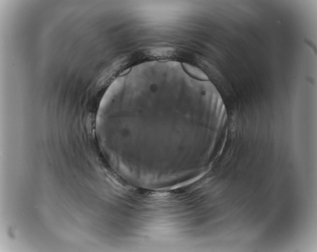 X0000098130428200805151120