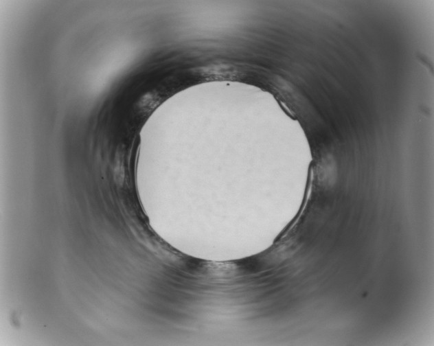 X0000098130429200805151120