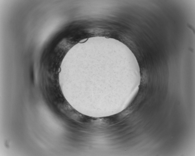 X0000098130430200805151120