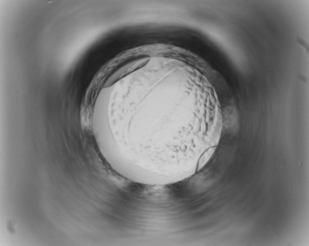 X0000098130431200805151120