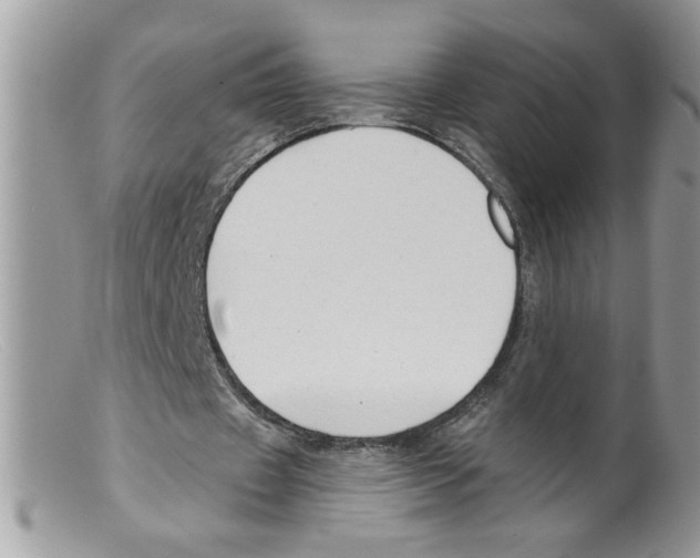 X0000098130433200805151119