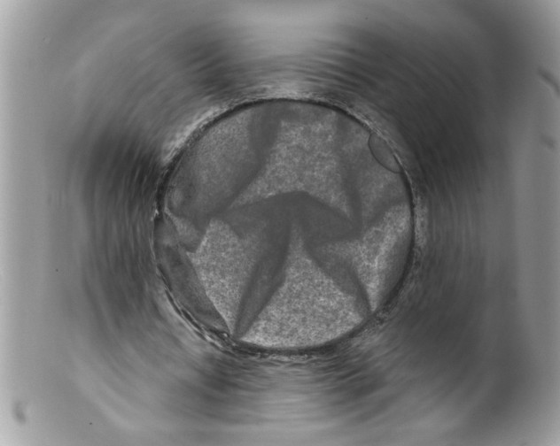 X0000098130434200805151119
