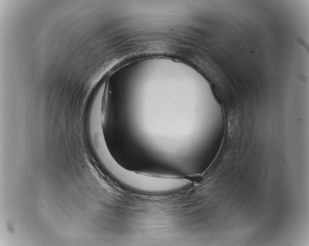 X0000098130436200805151119