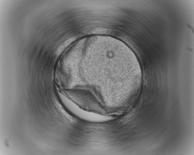 X0000098130437200805151119