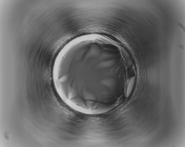 X0000098130438200805151119