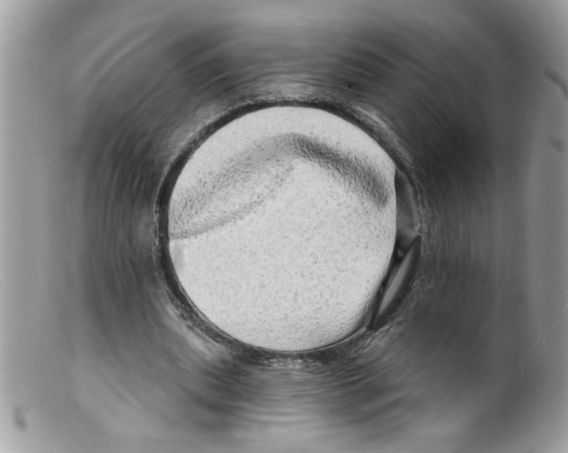 X0000098130439200805151119