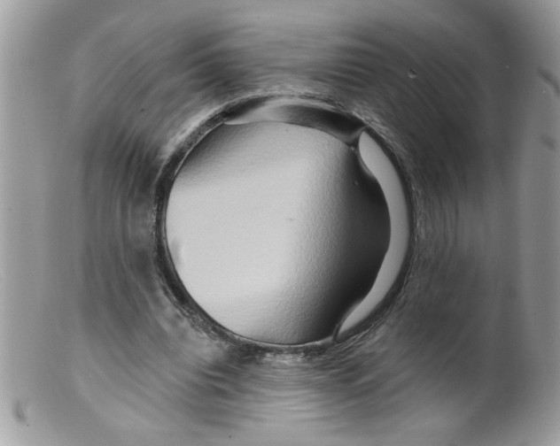 X0000098130440200805151119