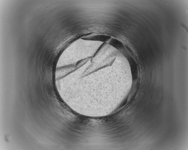 X0000098130442200805151119