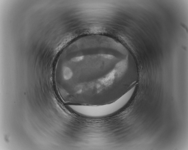 X0000098130443200805151119
