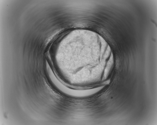 X0000098130444200805151119