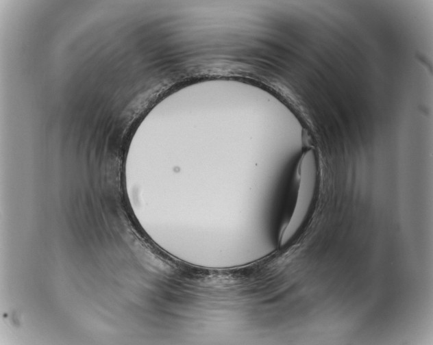 X0000098130445200805151119