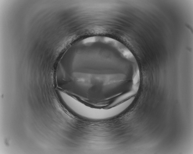 X0000098130447200805151119