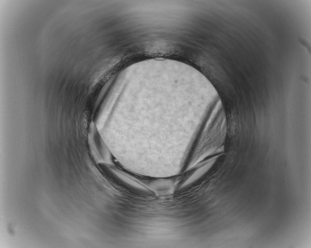 X0000098130448200805151120
