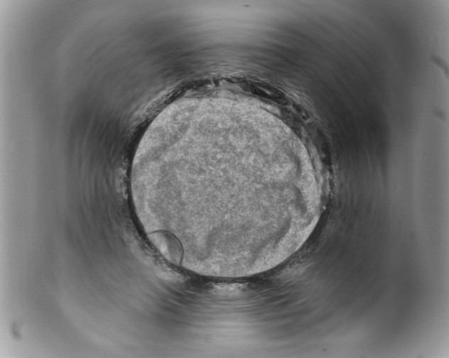 X0000098130450200805151120