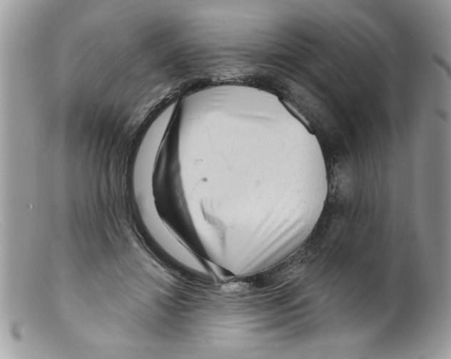X0000098130452200805151120