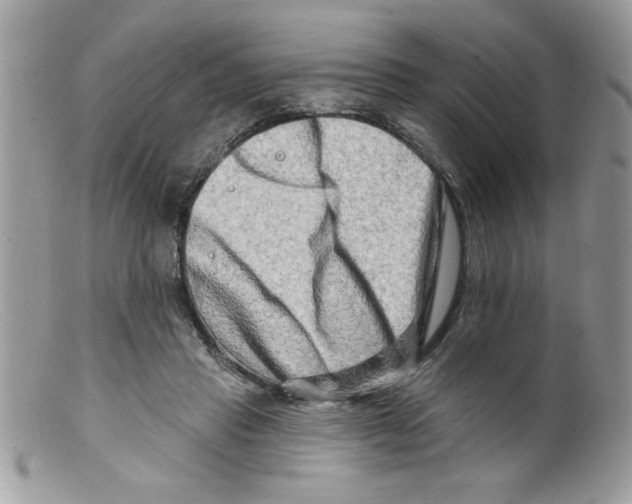 X0000098130453200805151120