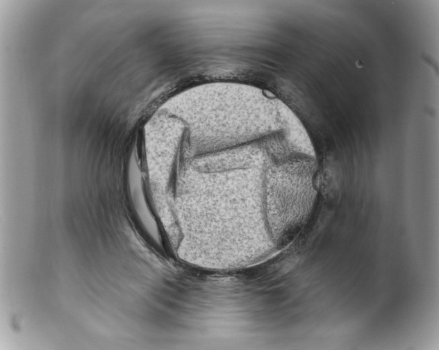 X0000098130454200805151120
