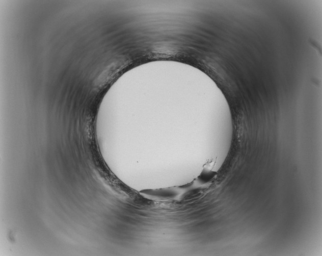 X0000098130455200805151120
