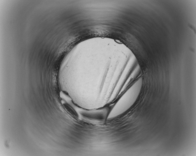 X0000098130456200805151120