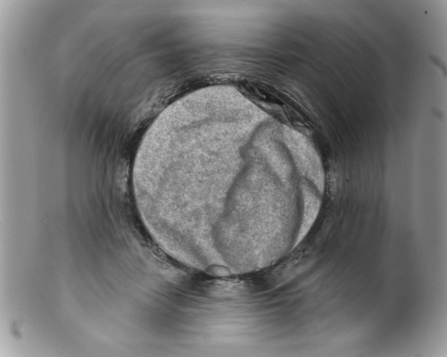 X0000098130458200805151120