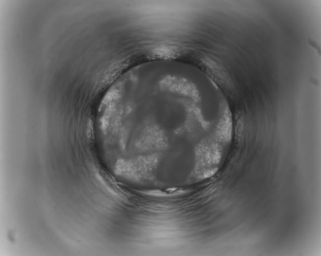 X0000098130459200805151120