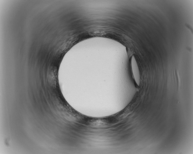 X0000098130460200805151120