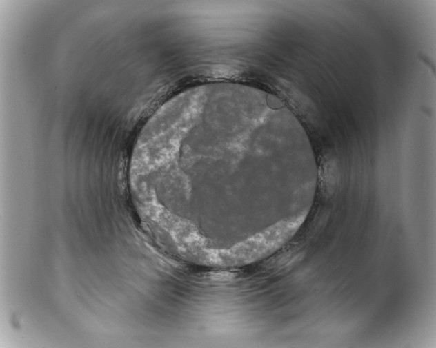 X0000098130462200805151120