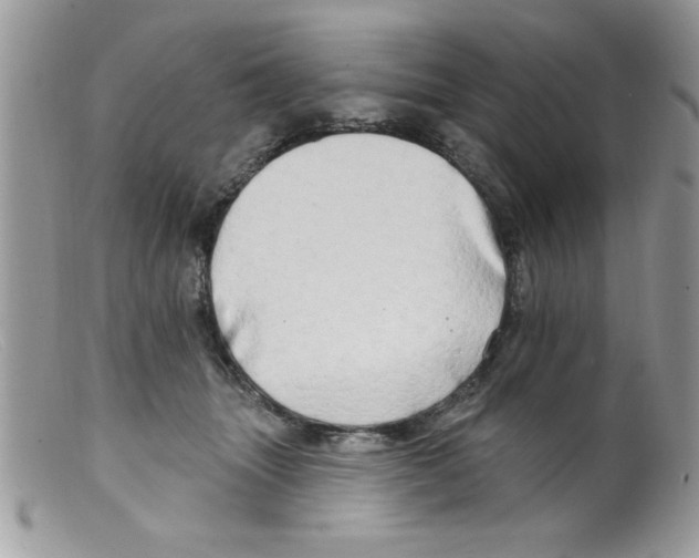 X0000098130463200805151120