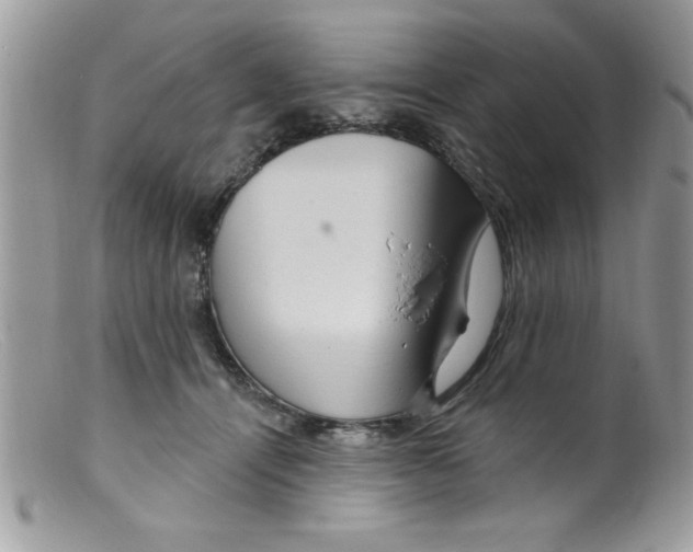 X0000098130464200805151120