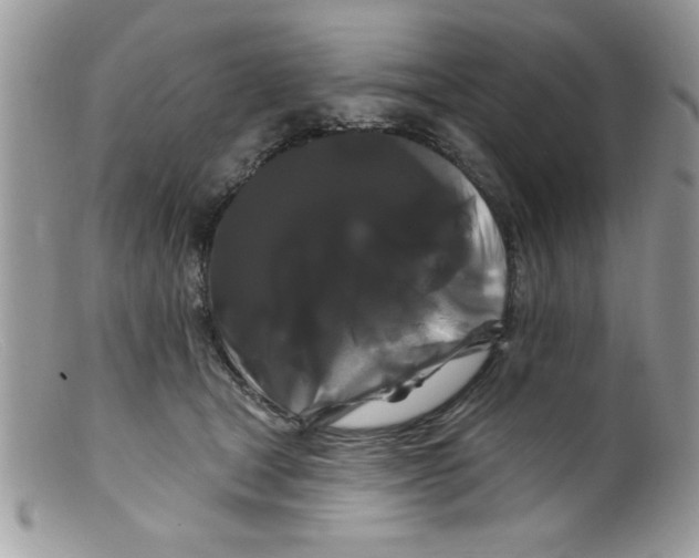X0000098130465200805151120