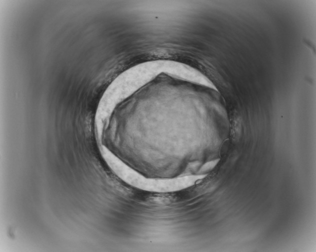 X0000098130466200805151120