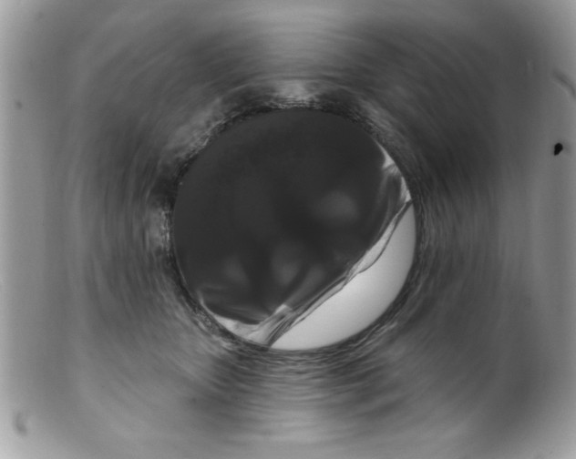 X0000098130467200805151120