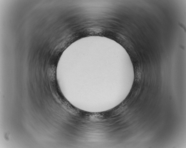 X0000098130468200805151120