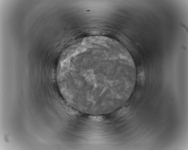 X0000098130469200805151120