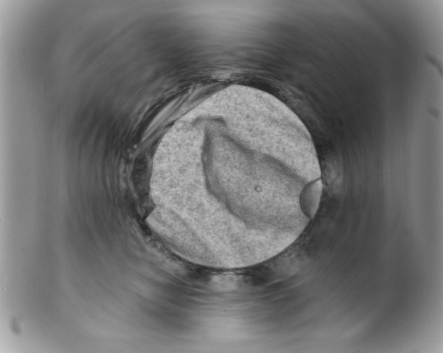 X0000098130470200805151120