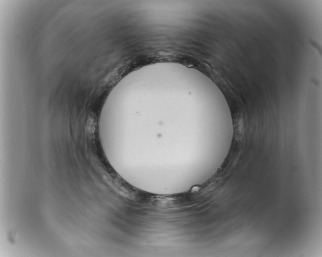 X0000098130472200805151120