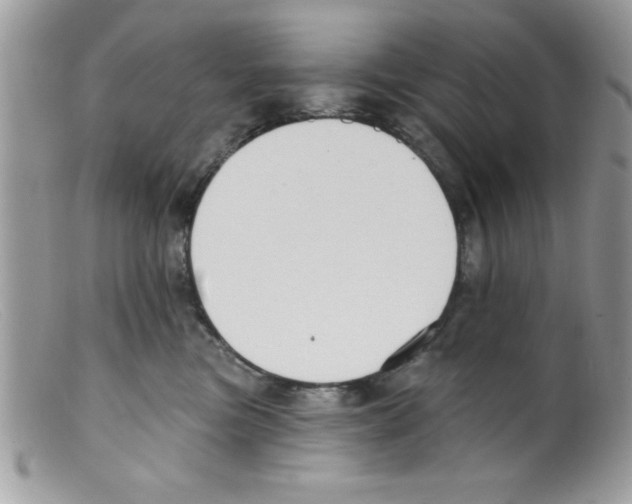 X0000098130473200805151120