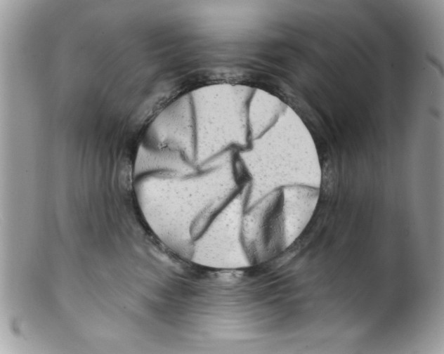 X0000098130474200805151120