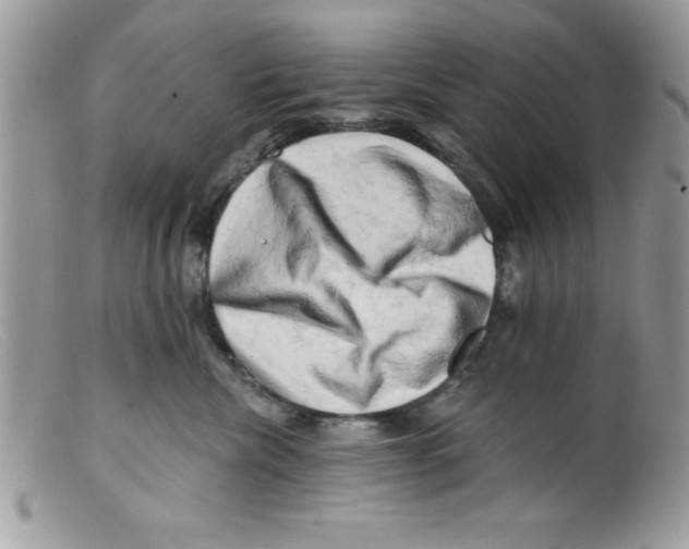 X0000098130476200805151120