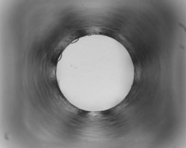 X0000098130477200805151120