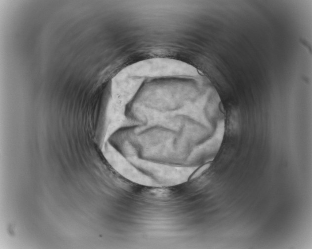 X0000098130478200805151120
