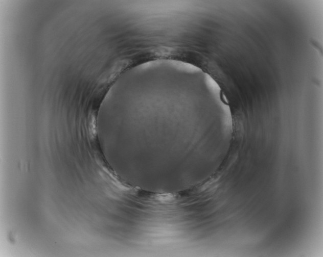 X0000098130479200805151120