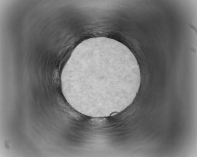 X0000098130480200805151120